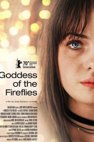 فيلم Goddess of the Fireflies مترجم للكبار فقط