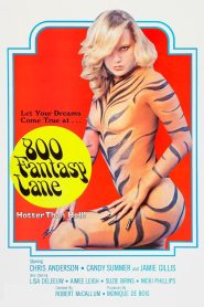 فيلم 800 Fantasy Lane للكبار فقط