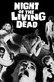 فيلم Night of the Living Dead مترجم للكبار فقط