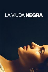 فيلم لعبة الأرملة مترجم