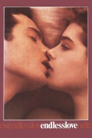 فيلم Endless Love مترجم للكبار فقط