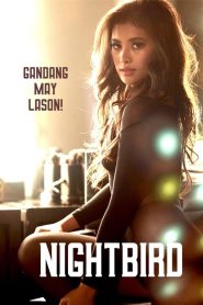 فيلم Nightbird مترجم للكبار فقط