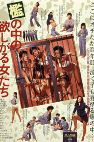 فيلم Women in Heat Behind Bars مترجم للكبار فقط