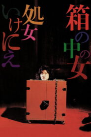 فيلم Woman in a Box Virgin Sacrifice مترجم للكبار فقط