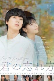 فيلم How to Forget You مترجم اون لاين